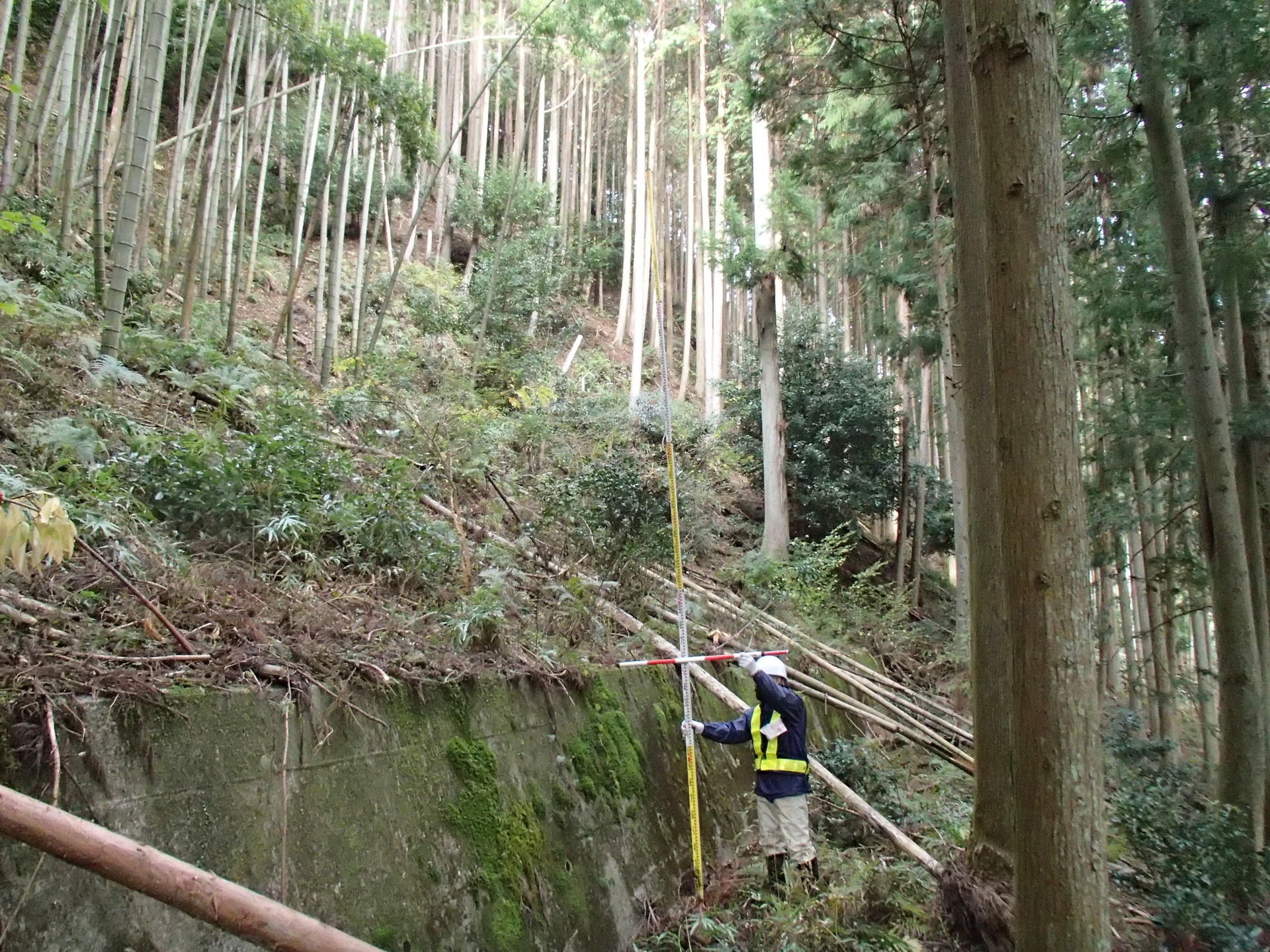 砂防・治山関連の防災施設点検