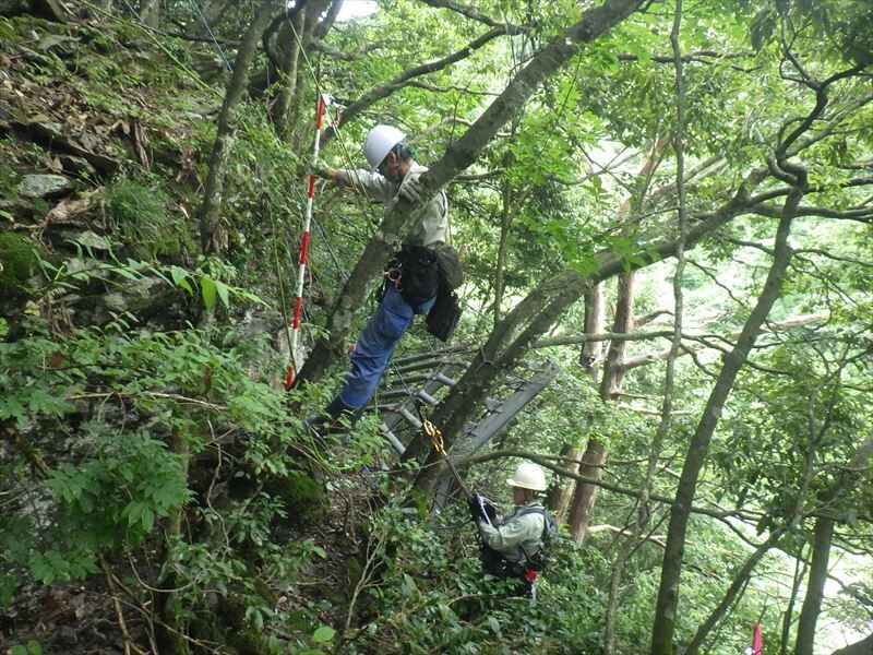 ロープアクセスによる斜面法面清掃・伐採